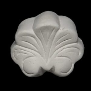 Shell-02 Ornate Shell