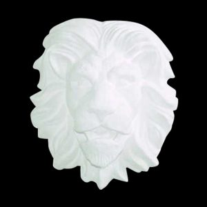 OM19 - Lion's Head