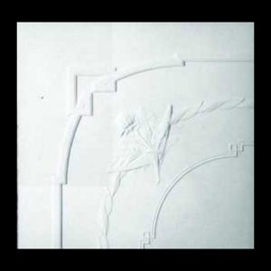 P62 - Waratah Leaf Panel