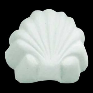 S01 - Sea Shell