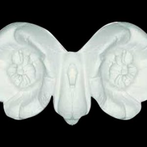 S05 - Owl Shell