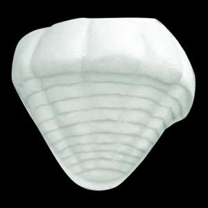 S07 - Claim Shell