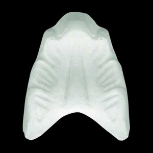 S08 - Shell